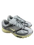 Nike air Pegasus Wave