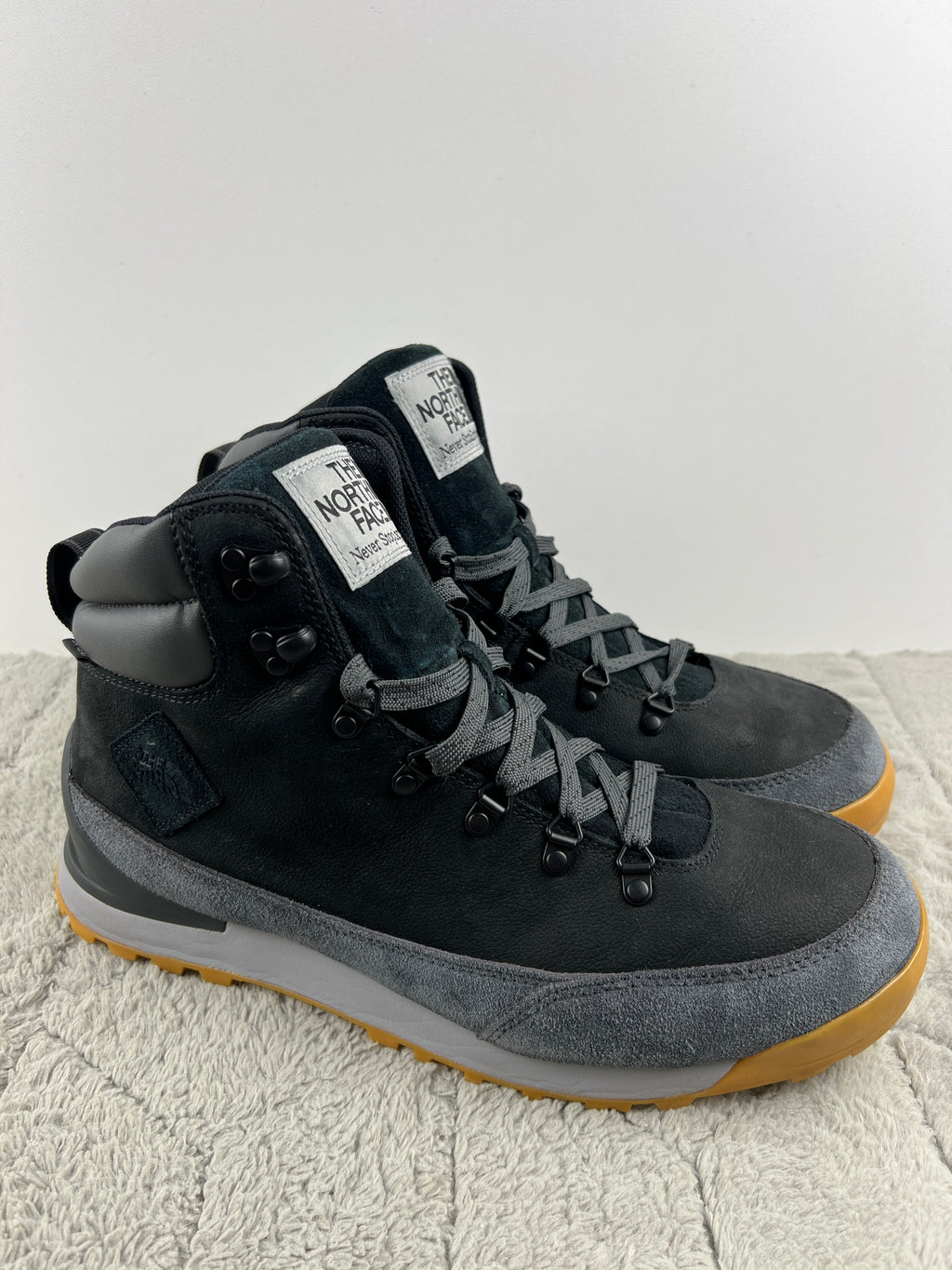 THE NORTH FACE BACK TO BERKELEY IV