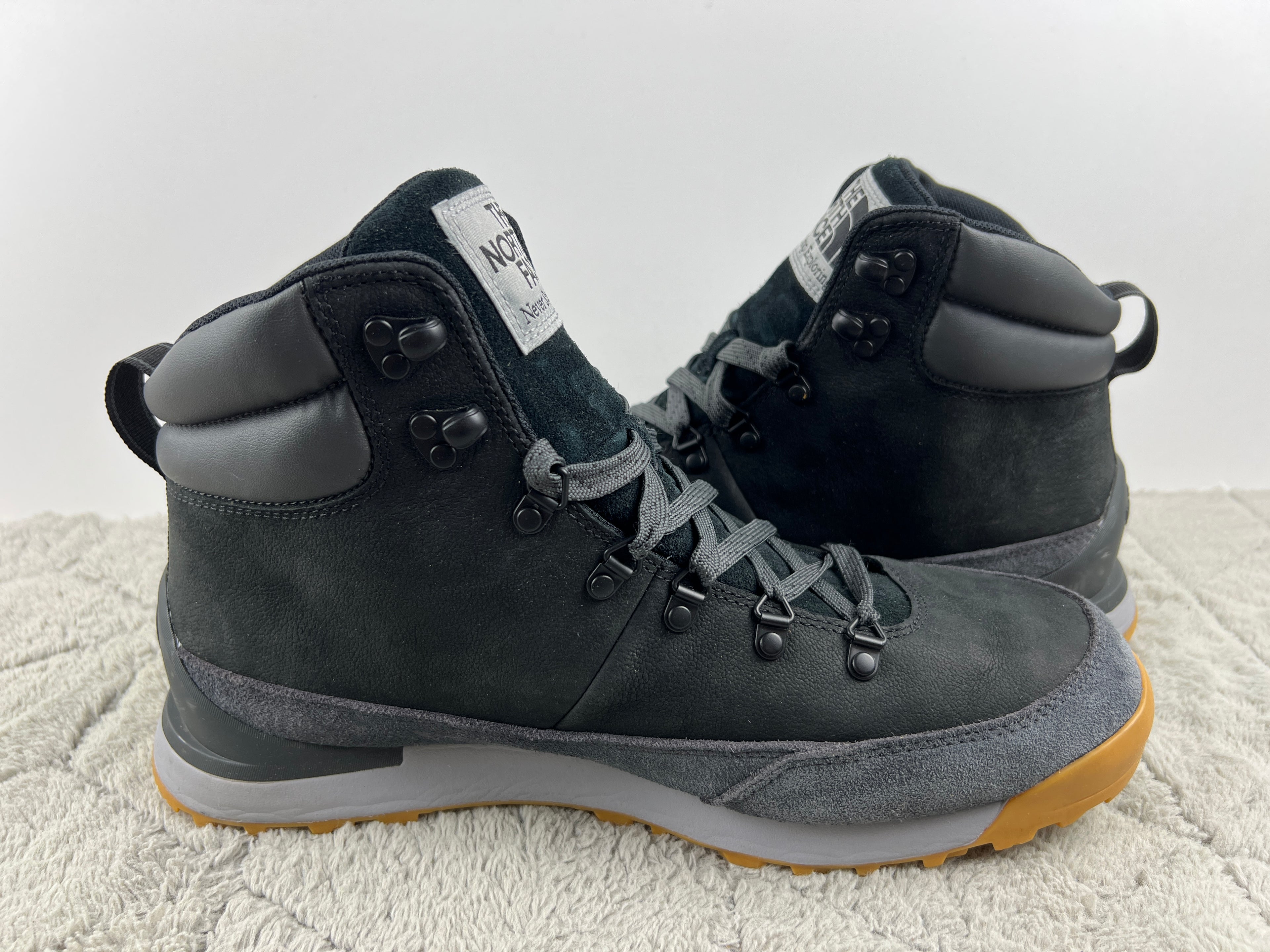 THE NORTH FACE BACK TO BERKELEY IV