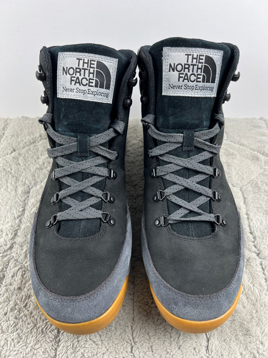 THE NORTH FACE BACK TO BERKELEY IV