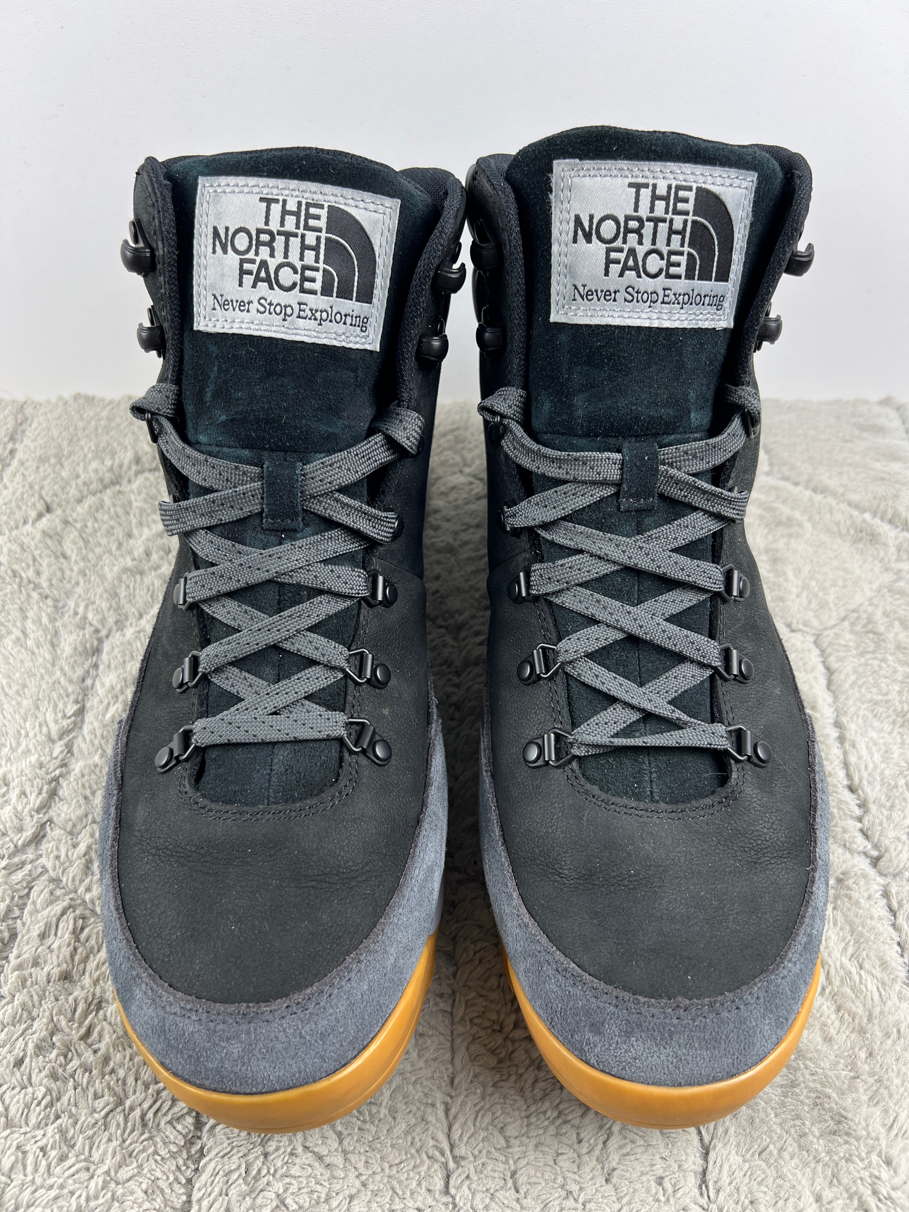 THE NORTH FACE BACK TO BERKELEY IV