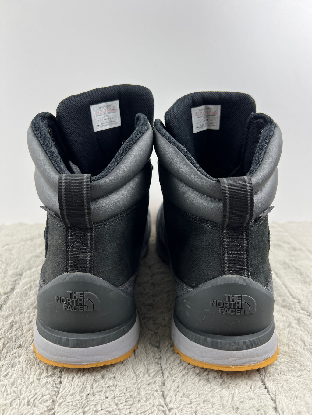 THE NORTH FACE BACK TO BERKELEY IV
