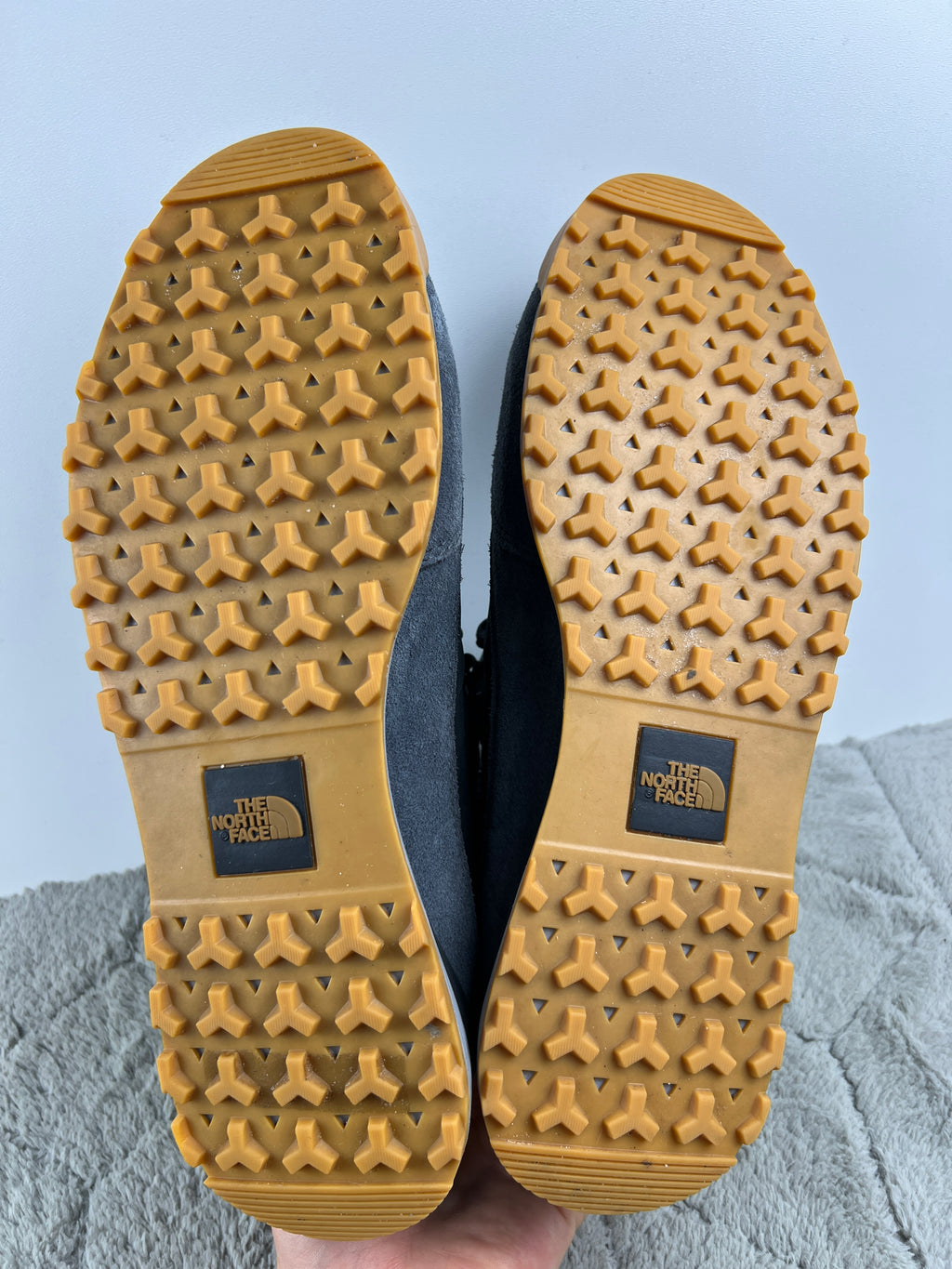 THE NORTH FACE BACK TO BERKELEY IV